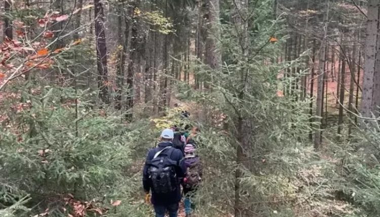 جرمنی میں اسلاموفوبیا، قانونی طور پر مقیم شامی باشندوں کو تفتیش کا سامنا