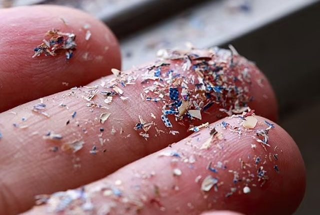 انسان کی رگوں میں مائیکرو پلاسٹک کی موجودگی کا انکشاف