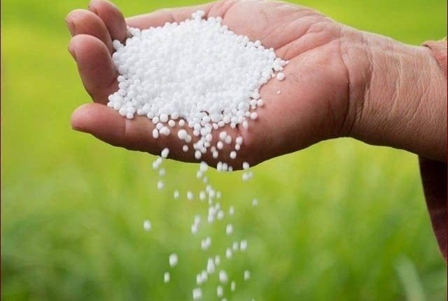 وزیر پیداوار کا سرسبز یوریا کی قیمت میں اضافے کا سخت نوٹس