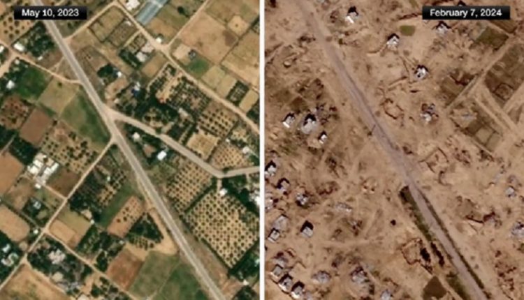 غزہ کی آدھی زرعی زمین تباہ ہو چکی ہے