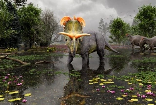 امریکا میں سینگوں والے ڈائناسور کی نئی نسل دریافت