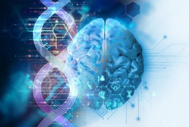 انسانی نشونما میں رکاوٹ پیدا کرنے والے جین کی نشاندہی