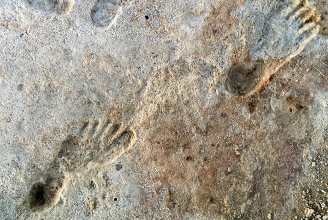 اسپین؛ تعمیراتی کام کے دوران 26 ہزار سال قدیم قدموں کے نشانات دریافت