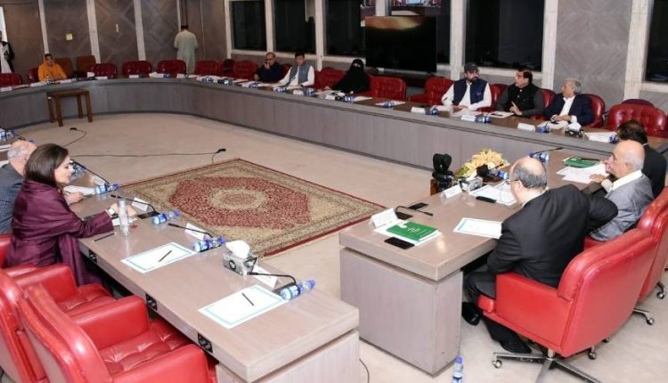 پارلیمان کی خصوصی کمیٹی نے آئینی مسودہ متفقہ طور پر منظور کر لیا