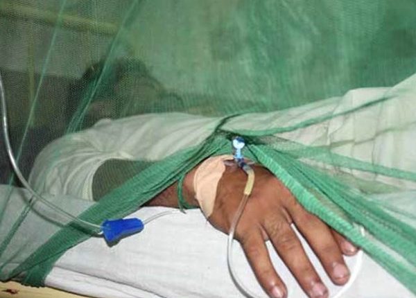 سندھ میں روزانہ کی بنیاد پر ڈینگی، ملیریا اور چکن گونیا کے مریضوں کی تعداد میں اضافے کا انکشاف
