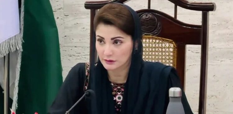 وزیراعلیٰ پنجاب کا 3200 صحافیوں کو پلاٹ دینے کا فیصلہ